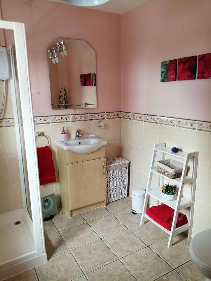 Lynn'S Lodge, International Airport 15Mins Randalstown Luaran gambar