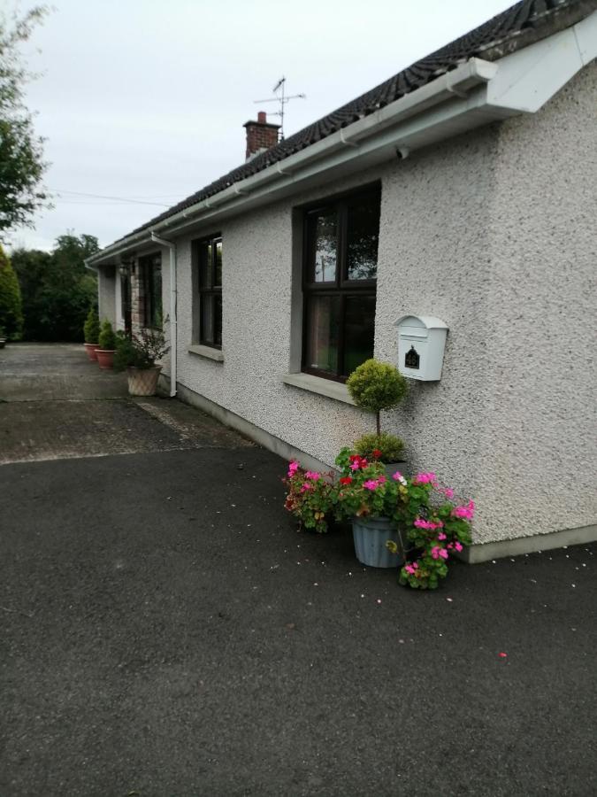 Lynn'S Lodge, International Airport 15Mins Randalstown Luaran gambar