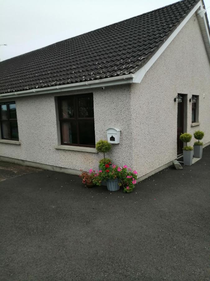 Lynn'S Lodge, International Airport 15Mins Randalstown Luaran gambar